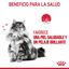 85 g Royal Canin Hair and Skin sobre en salsa para gatos, , large indicador imagen numero 6