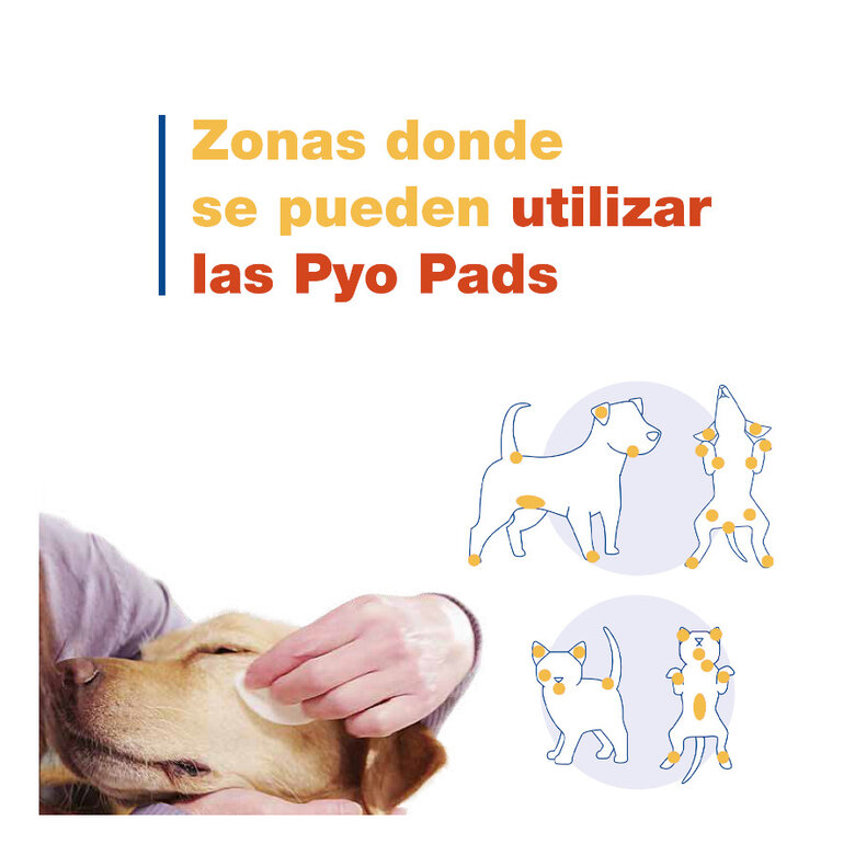 Douxo Pya Algodón Desinfectante para perros y gatos, , large image number null