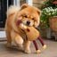 Tootoy! Comfort Pollo Gigante Peluche para perros, , large indicador imagen numero 1