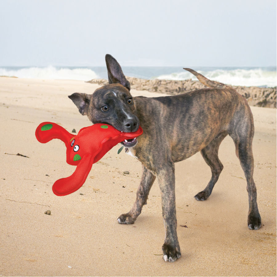 Kong Belly Flops Langosta de juguete para perros thumbnail