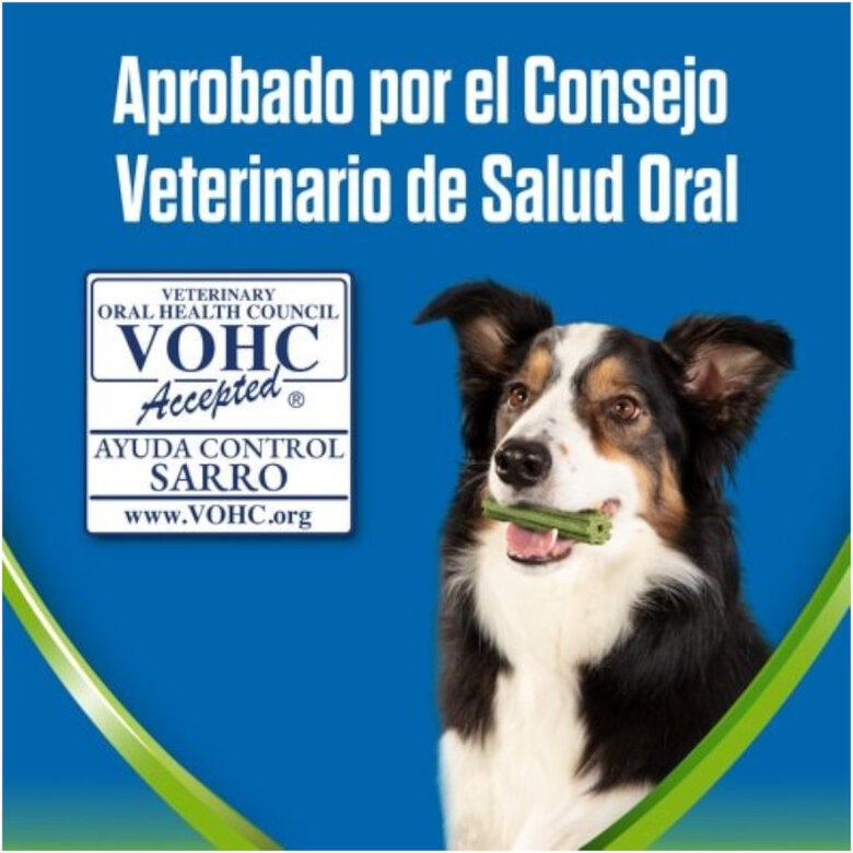 Dentalife Snacks Dentales Medium ActivFresh para perros, , large image number null