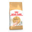 10 kg Royal Canin Adult Sphynx pienso para gatos, , large indicador imagen numero 1