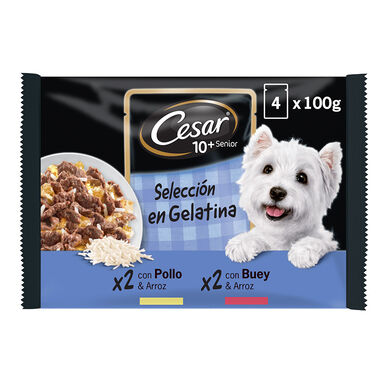 Cesar Carnes Mixtas Gelatina en Bolsita para Perros Senior - Multipack