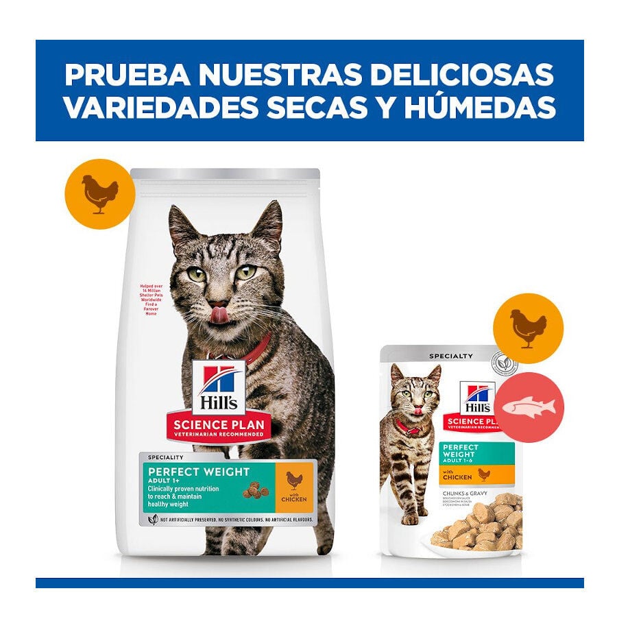 7 kg Hill's Science Plan Perfect Weight Adult pollo pienso para gatos, , large Imagen numero 8