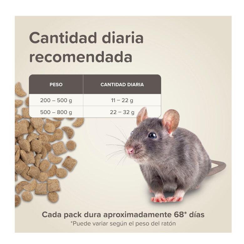 Beaphar Care+ Pienso para ratas,  Imagen numero 7 Beaphar Care+ Pienso para ratas, , large Imagen numero 7