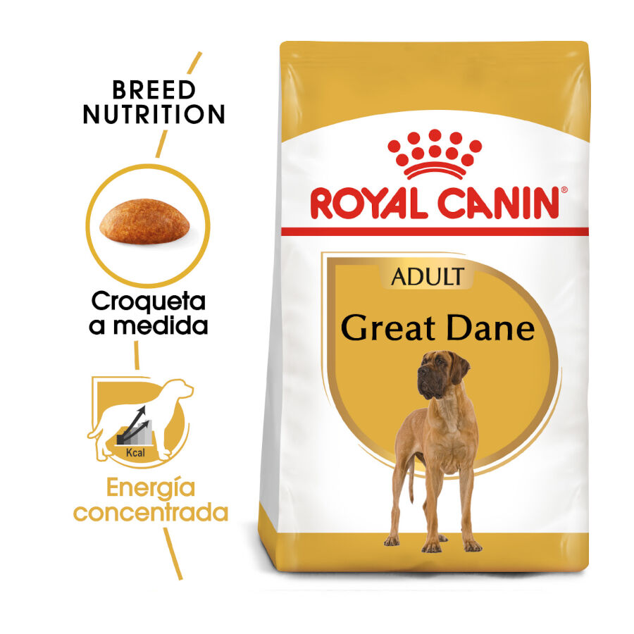 12 kg Royal Canin Adult Great Dane pienso para perros, , large Imagen numero 2