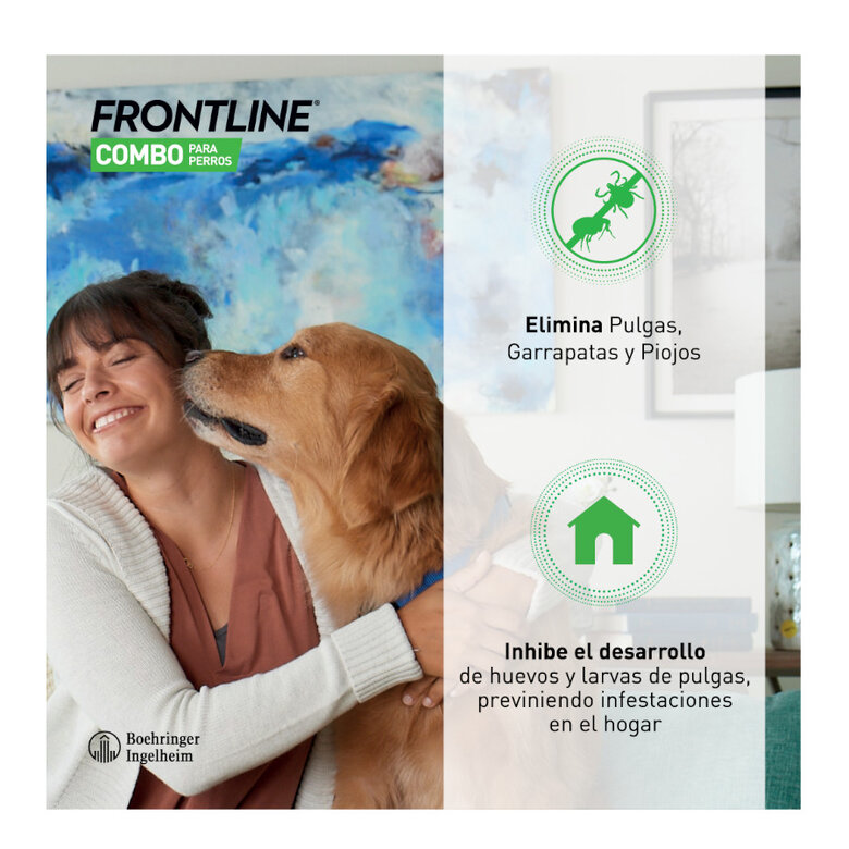 Frontline Combo Pipetas Antiparasitarias para perros gigantes , , large image number null