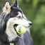Kong Air Pelota de tenis con sonido para perros, , large indicador imagen numero 2