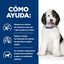 370 g Hill's Prescription Diet Urinary Care c/d Pollo lata para perros, , large indicador imagen numero 4