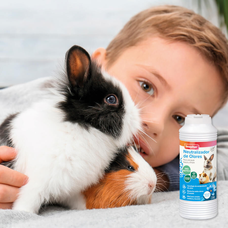 Beaphar Neutralizador de olores para roedores, , large Imagen numero 4