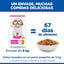 6 kg Hill's Science Plan Mature Adult Small y Mini pollo pienso para perros, , large indicador imagen numero 6