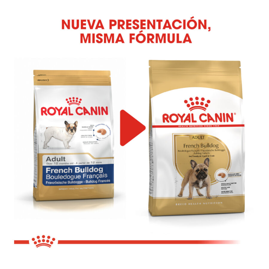 Royal Canin French Bulldog Adult pienso para perros thumbnail