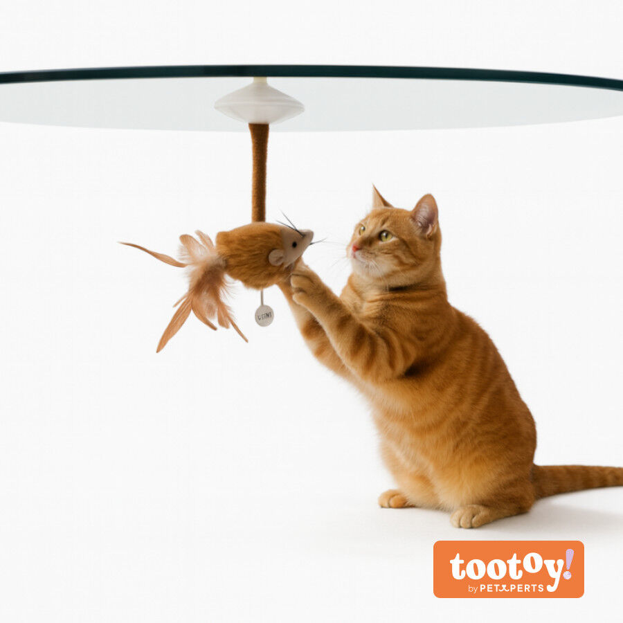 Tootoy! Juguete Interactivo Rat&oacute;n con Ventosa para gatos, , large Imagen numero 9