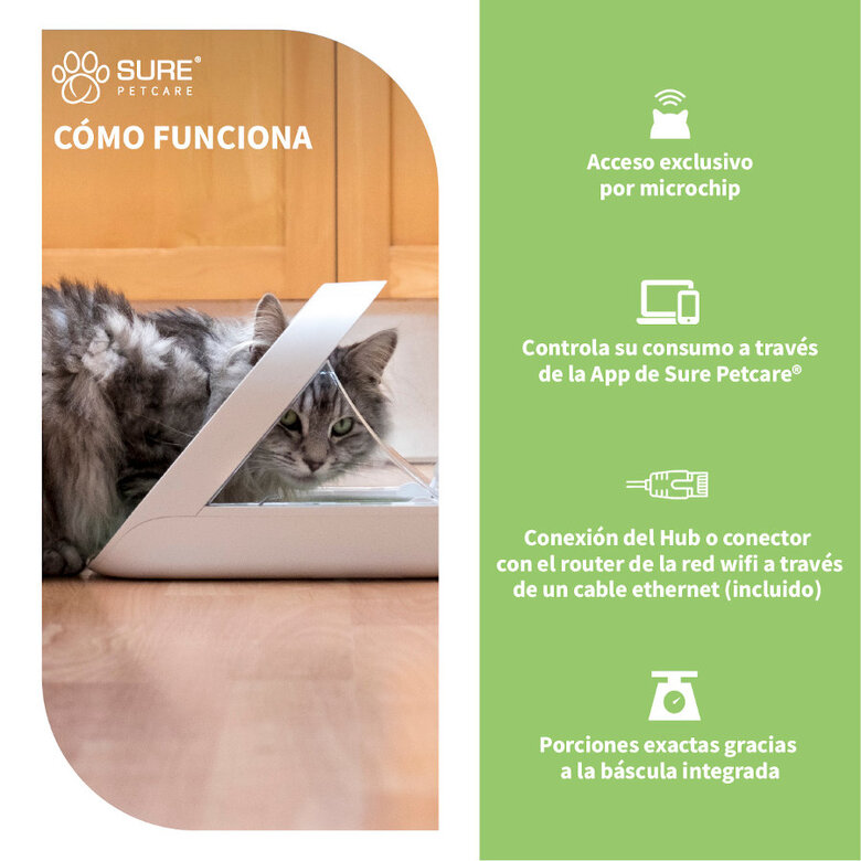 Sure Petcare Surefeed Comedero Automático con Microchip Connect para perros y gatos,  Imagen numero 4 Sure Petcare Surefeed Comedero Automático con Microchip Connect para perros y gatos, , large Imagen numero 4