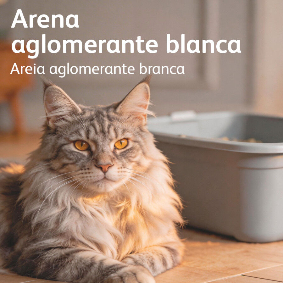 10 L Nova Clean Marsella Arena Aglomerante para gatos, , large Imagen numero 6