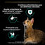 10 sobres x 85 g Pro Plan Adult Sterilised Maintenance Pollo y Buey en Salsa sobre para gatos, , large indicador imagen numero 3