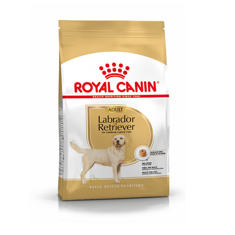 12 kg Royal Canin Adult Labrador Retriever pienso para perros,  Imagen numero 1 12 kg Royal Canin Adult Labrador Retriever pienso para perros, , large Imagen numero 1