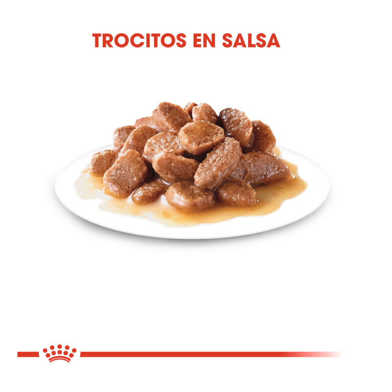 Royal Canin Feline Sterilised Salsa sobres para gato thumbnail