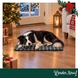 Wonder Christmas Set Manta y Cojin Hueso para perros
