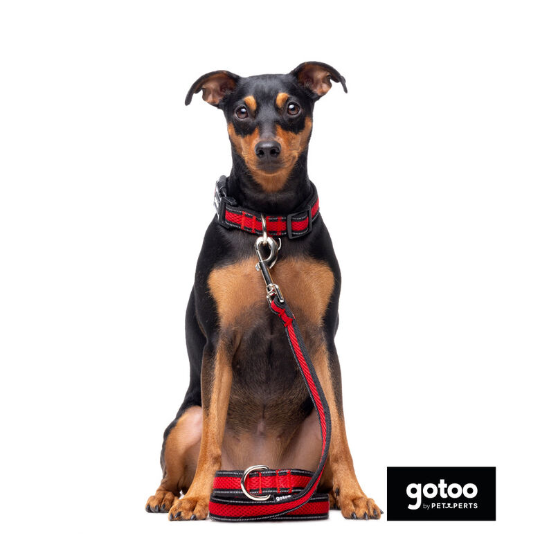 Gotoo Collar de malla transpirable rojo para perros thumbnail