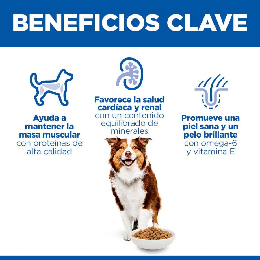 Hill&#039;s Science Plan Mature Adult Medium pienso pollo para perros de razas medianas thumbnail