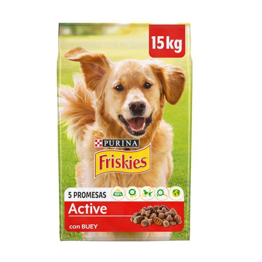 Friskies Active Pienso para perros