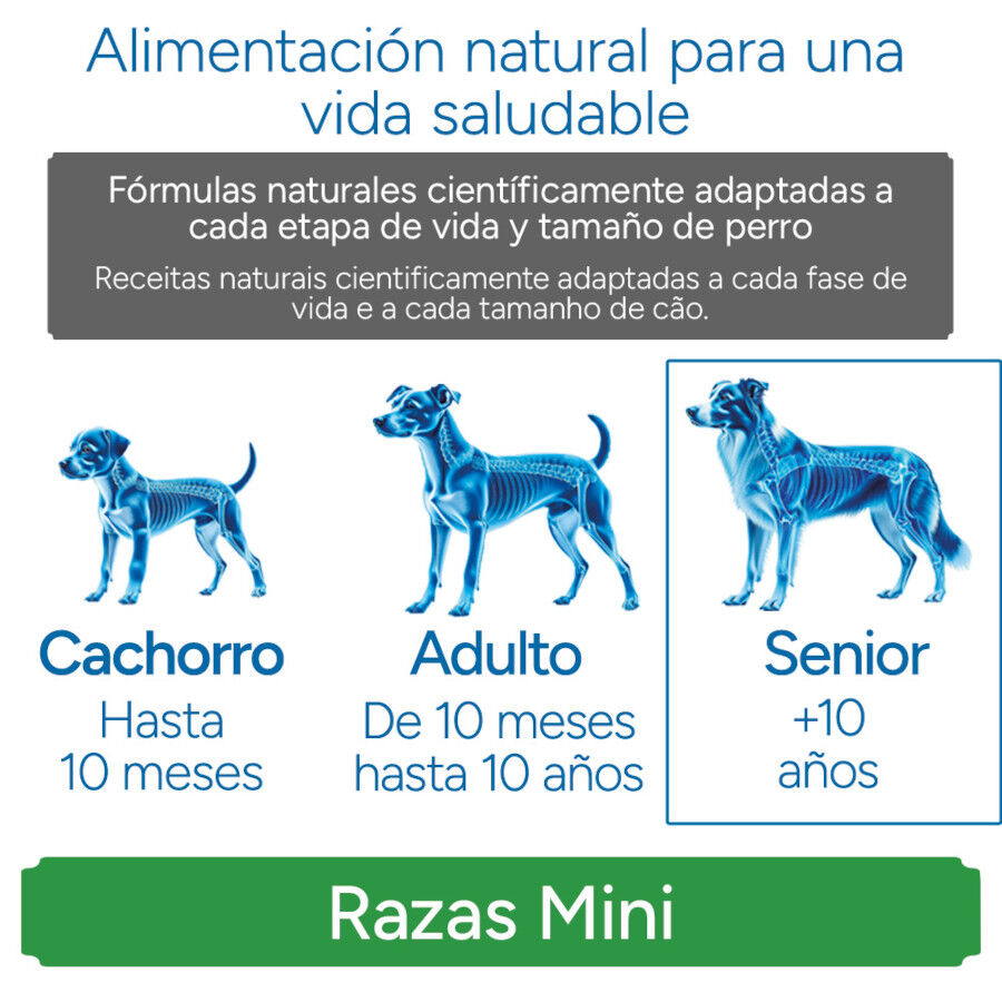 Criadores Cient&iacute;fico Senior Sensitive Mini Pienso Salm&oacute;n para perros, , large Imagen numero 11