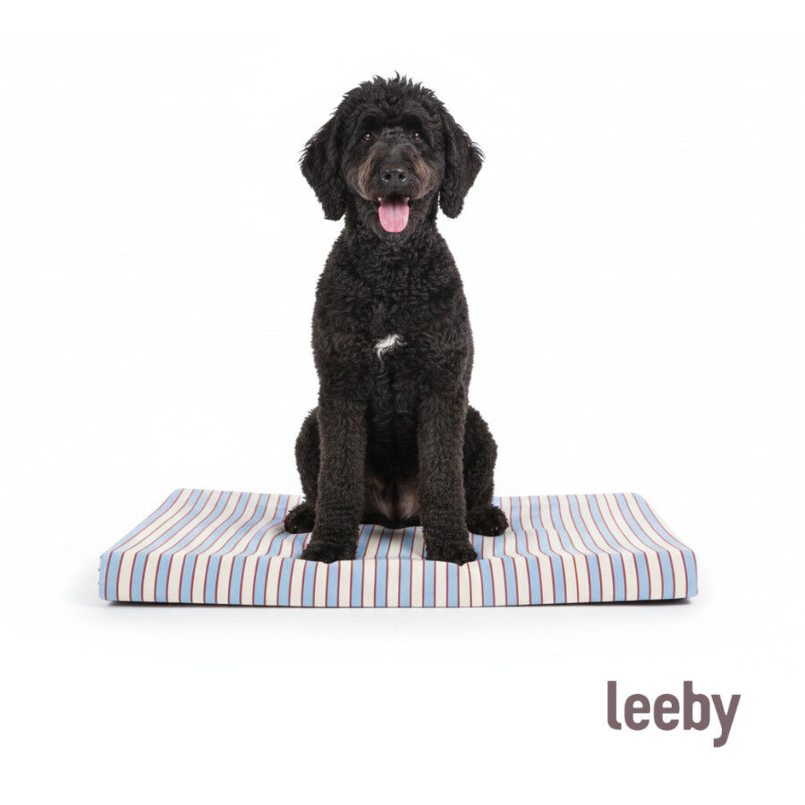 Leeby Colch&oacute;n Rayas Anchas para perros, , large Imagen numero 7