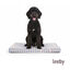 Leeby Colch&oacute;n Rayas Anchas para perros, , large indicador imagen numero 7
