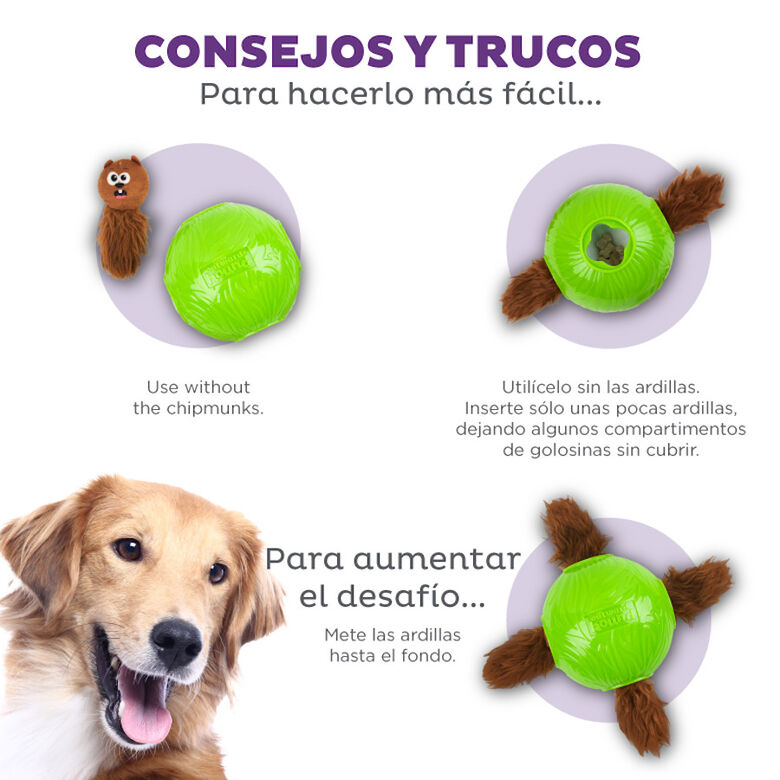 Outward Hound Snuffle n’ Treat Pelota Interactiva Portagolosinas para perros thumbnail
