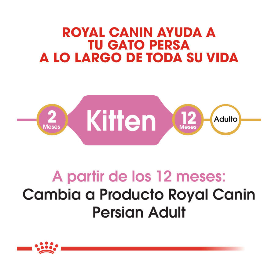 Royal Canin Kitten Persia pienso para gatos thumbnail