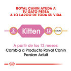Royal Canin Kitten Persia pienso para gatos, , large image number null