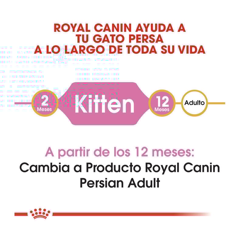 2 kg Royal Canin Kitten Persia pienso para gatos,  Imagen numero 6 2 kg Royal Canin Kitten Persia pienso para gatos, , large Imagen numero 6