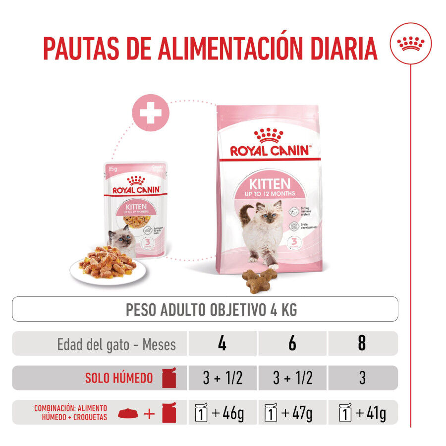 Royal Canin Kitten comida húmeda en gelatina sobre para gatitos thumbnail