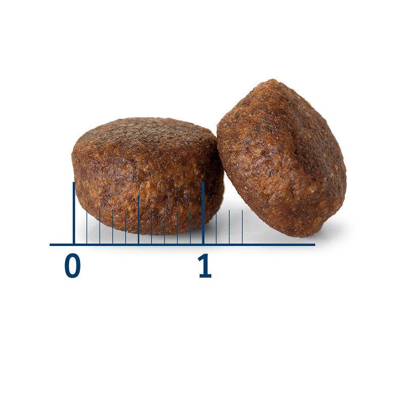 12 kg Nath Adult Medium Pollo pienso para perros,  Imagen numero 3 12 kg Nath Adult Medium Pollo pienso para perros, , large Imagen numero 3