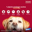 0-4 kg (4 uds.)Advantix Pipetas Antiparasitarias para perros, , large indicador imagen numero 4
