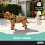 Gotoo Chaqueta Impermeable con Arn&eacute;s para perros, , large indicador imagen numero 6