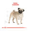 3 kg Royal Canin Adult Pug pienso para perros, , large indicador imagen numero 4