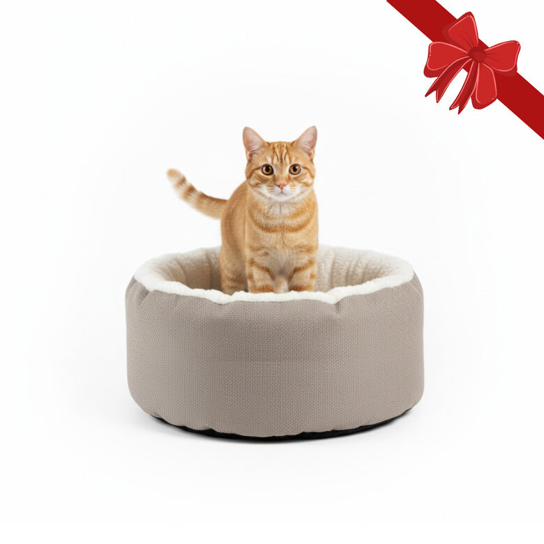 Wonder Christmas Cama Navideña Suave para gatos,  Imagen numero 1 Wonder Christmas Cama Navideña Suave para gatos, , large Imagen numero 1