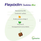 Vetoquinol Flexadin Young Mini Condroprotector para perros, , large image number null