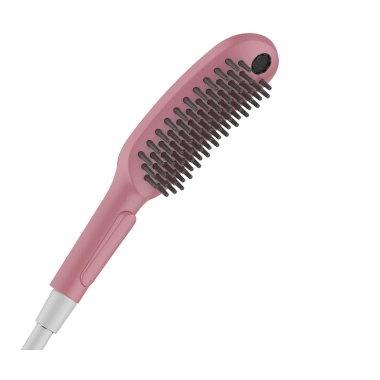 Hansgrohe Alcachofa de Ducha Rosa para perros thumbnail