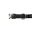 Gotoo Collar espiga gris para perros, , large indicador imagen numero 3