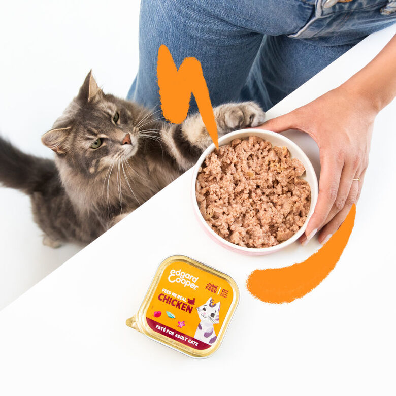 Edgard &amp; Cooper Adult Pollo en Paté tarrina para gatos thumbnail