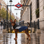 Gotoo Impermeable Reflectante Gris Azulado para perros, , large indicador imagen numero 1