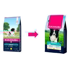 Eukanuba Adult Medium Pollo pienso para perros