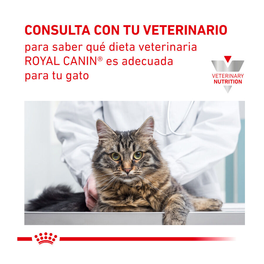 Royal Canin Adult Veterinary Urinary mousse sobre para gatos thumbnail