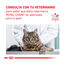 12 sobres x 85 g Royal Canin Adult Veterinary Urinary mousse sobre para gatos, , large indicador imagen numero 7