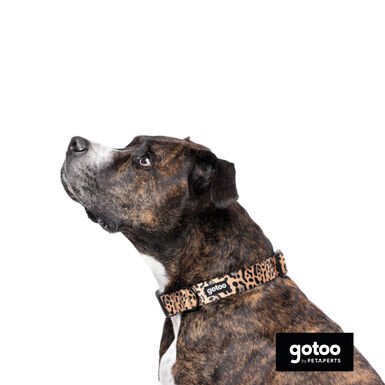 Gotoo Collar estampado leopardo para perros