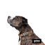 Gotoo Collar estampado leopardo para perros, , large indicador imagen numero 7