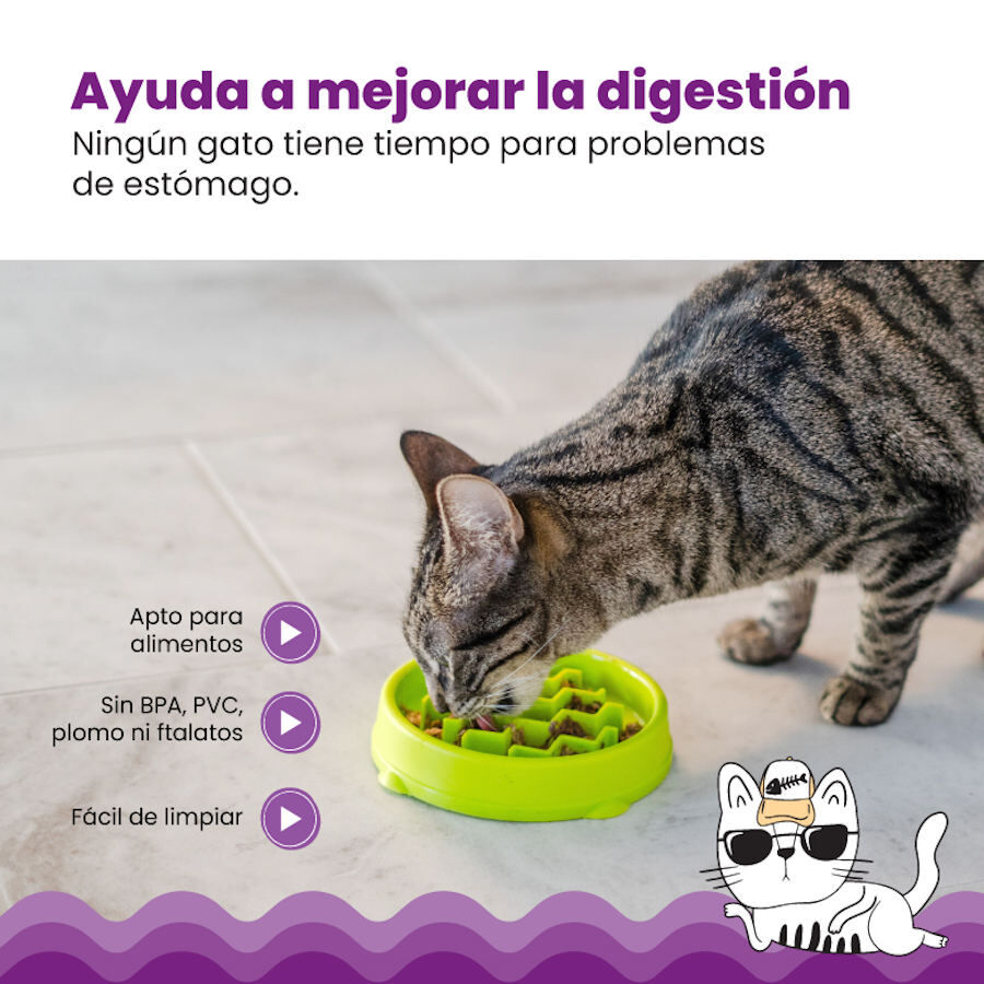 Catstages Cat Fun Comedero Lento Verde para gatos thumbnail